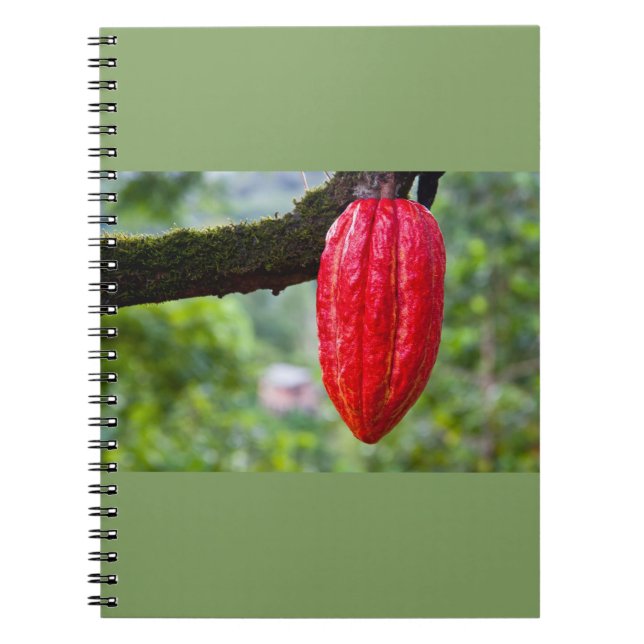 cocoa pod red notebook (Front)