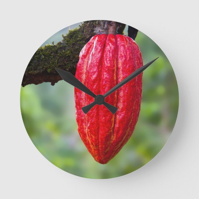 cocoa pod red round clock (Front)