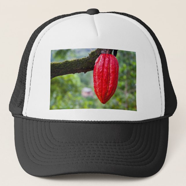 cocoa pod red trucker hat (Front)