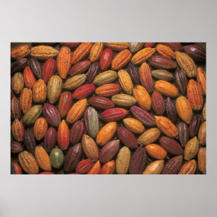 Cocoa pods poster