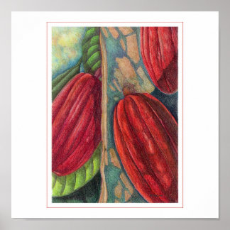 Cocoa Pods Poster