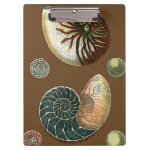 Cocoa Shell Clipboard