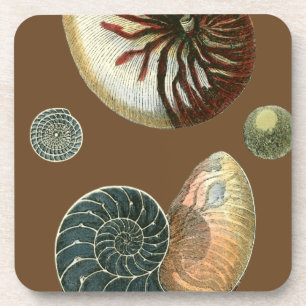 Cocoa Shell Coaster