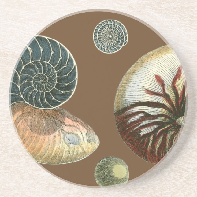 Cocoa Shell Coaster (Front)