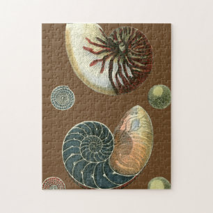 Cocoa Shell Jigsaw Puzzle