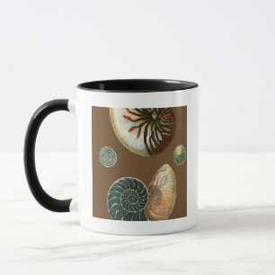 Cocoa Shell Mug