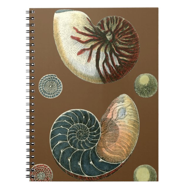 Cocoa Shell Notebook (Front)
