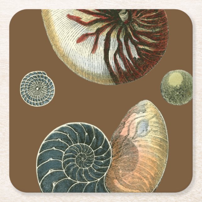 Cocoa Shell Square Paper Coaster (Front)