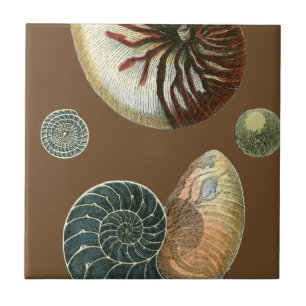 Cocoa Shell Tile