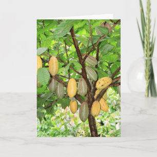Cocoa tree card