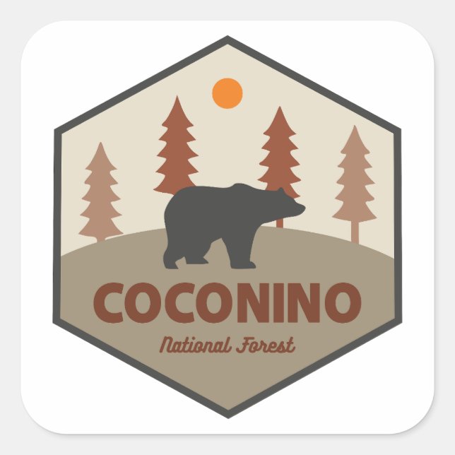 Coconino National Forest Bear Square Sticker (Front)