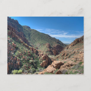 Coconino National Forest Postcard