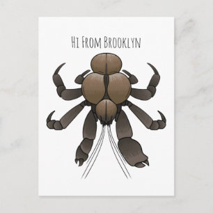 Coconut crab cartoon illustration postcard