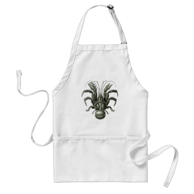 Coconut Crab Standard Apron (Front)
