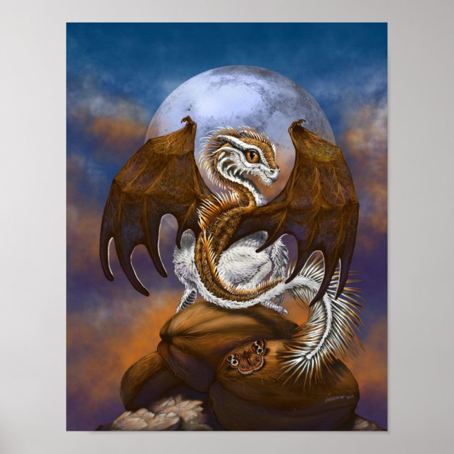 Coconut Dragon 11x14 (4x6 and up) Poster (Front)