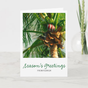 Coconut Florida Christmas Card