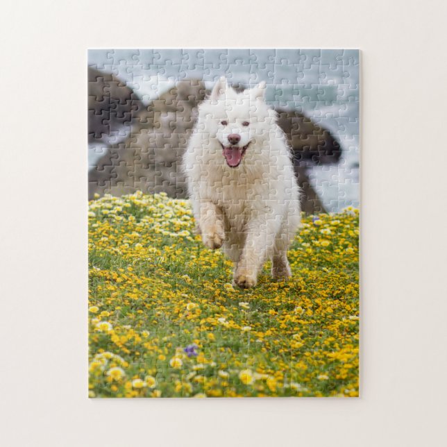 Coconut - Flowers Jigsaw Puzzle (Vertical)