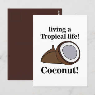 Coconut Fruit Tropical Postcard