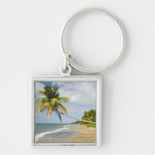 Coconut Grove Beach at Cades Bay, with St. 2 Key Ring