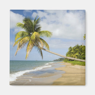 Coconut Grove Beach at Cades Bay, with St. 2 Magnet