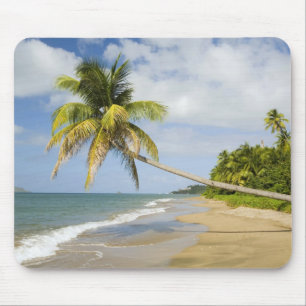Coconut Grove Beach at Cades Bay, with St. 2 Mouse Pad