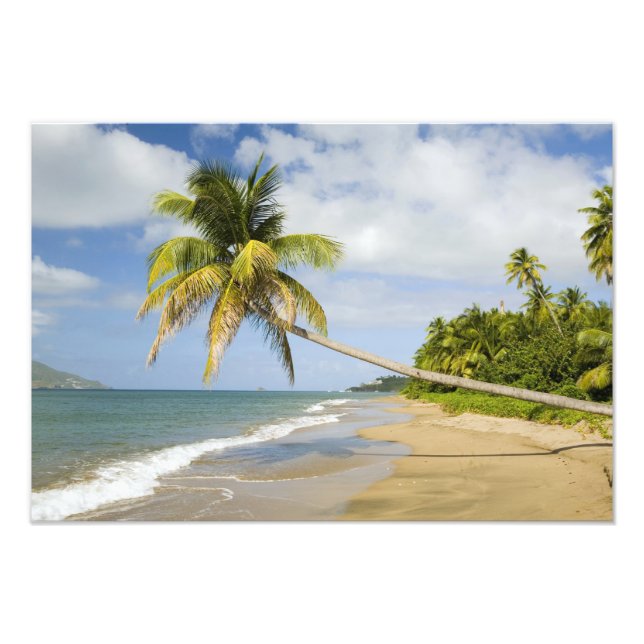 Coconut Grove Beach at Cades Bay, with St. 2 Photo Print (Front)