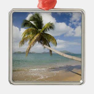 Coconut Grove Beach at Cades Bay, with St. Metal Tree Decoration