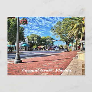 Coconut Grove, Florida Postcard