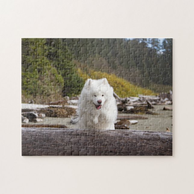 Coconut Log Puzzle (Horizontal)