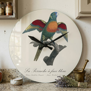 Coconut Lorikeet, Trichoglossus haematodus Large Clock