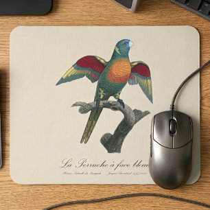 Coconut Lorikeet, Trichoglossus haematodus Mouse Pad
