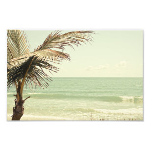 Coconut Palm and Pastel Beach Photography Photo Print