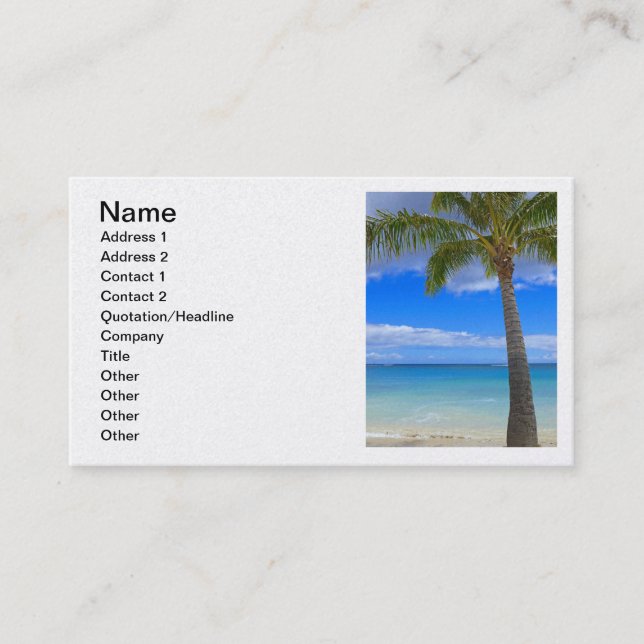 Coconut Palm Business Card (Front)