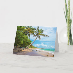 Coconut Palm, Mirissa Beach   Sri Lanka Card