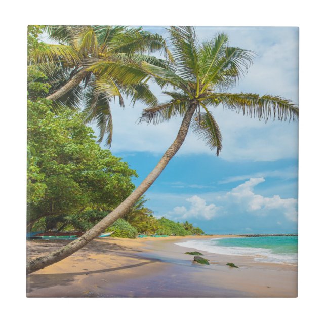 Coconut Palm, Mirissa Beach | Sri Lanka Ceramic Tile (Front)