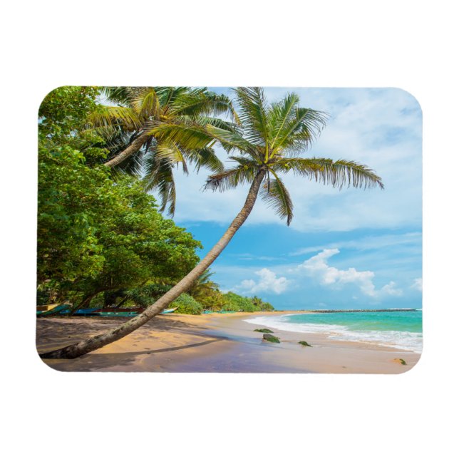 Coconut Palm, Mirissa Beach | Sri Lanka Magnet (Horizontal)