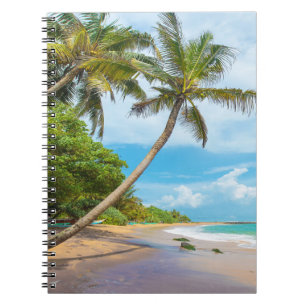 Coconut Palm, Mirissa Beach   Sri Lanka Notebook