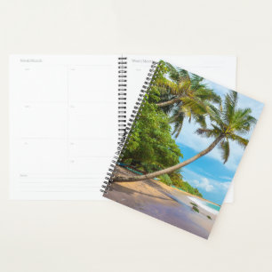 Coconut Palm, Mirissa Beach   Sri Lanka Planner