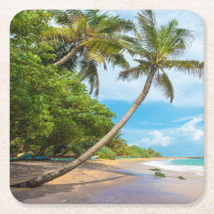 Coconut Palm, Mirissa Beach Sri Lanka Square Paper Coaster