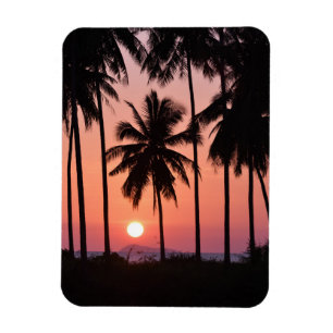 Coconut Palm Tree Landscape Magnet