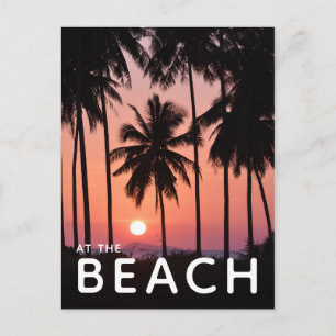 Coconut Palm Tree Landscape Postcard