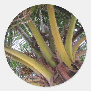Coconut Palm Tree RSVP Wedding Seals Sticker
