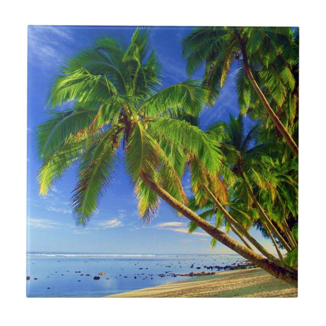 Coconut Palm Tree Sandy Tropical Island Beach Ceramic Tile (Front)