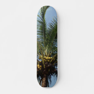 Coconut Palm Tree Skateboard