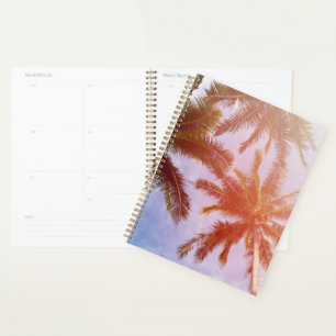 Coconut Palm Tree with Sunlight Planner