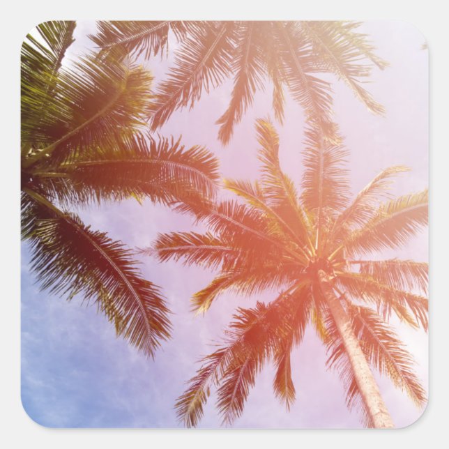Coconut Palm Tree with Sunlight Square Sticker (Front)