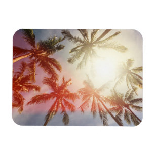 Coconut Palm Trees Against the Sun Magnet