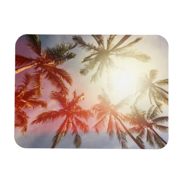 Coconut Palm Trees Against the Sun Magnet (Horizontal)