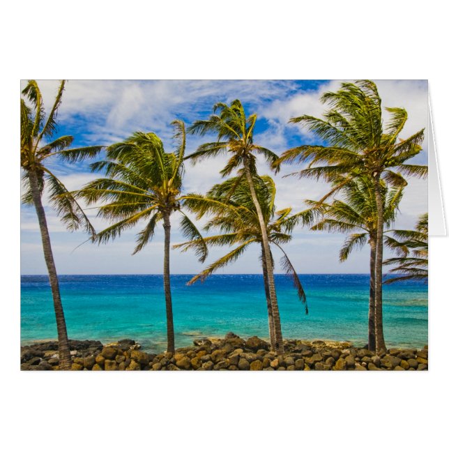 Coconut palm trees (Cocos nucifera) swaying in (Front Horizontal)