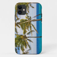 Coconut palm trees (Cocos nucifera) swaying in